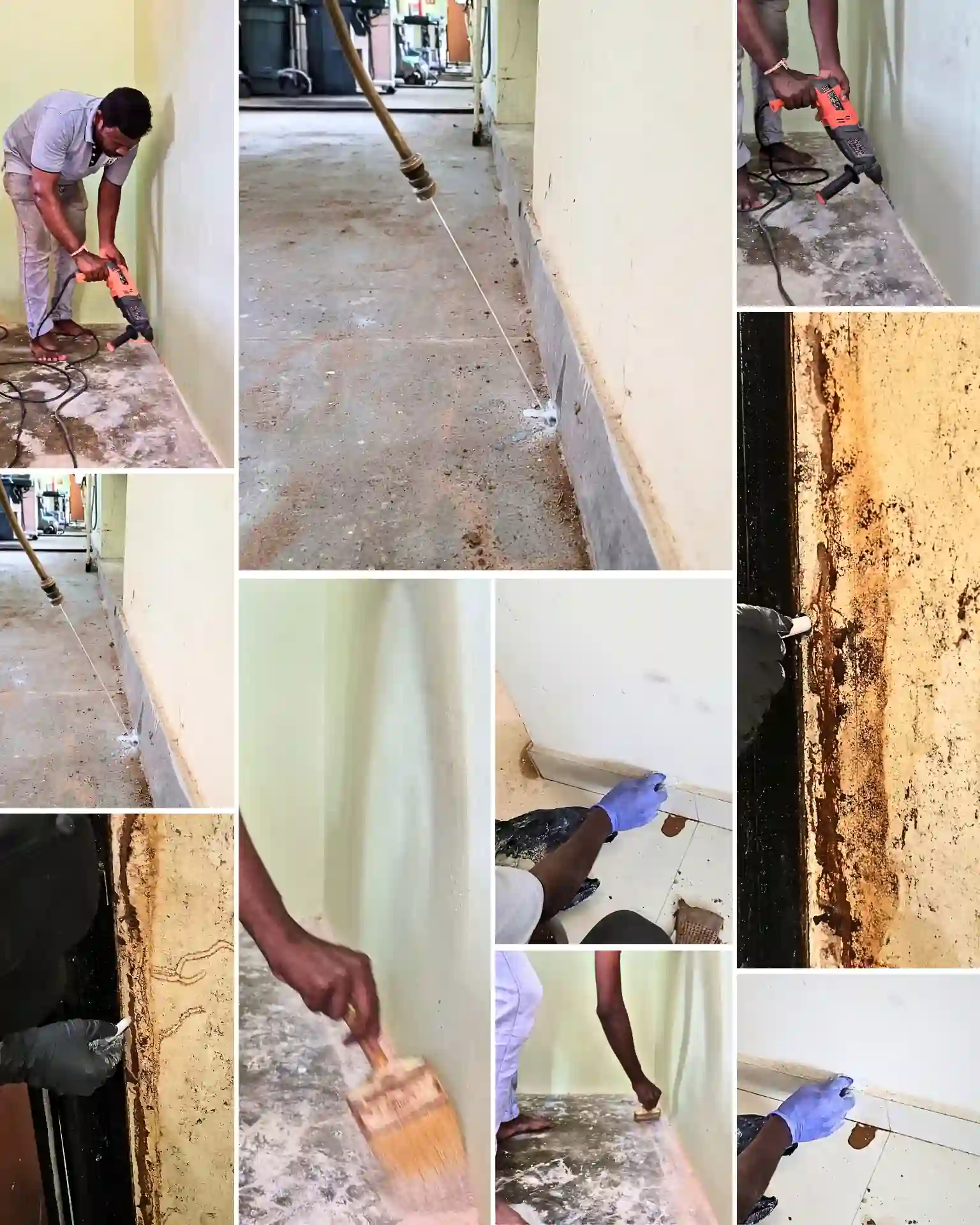 Post Construction Termite Treatment